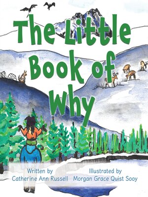 cover image of The Little Book of Why